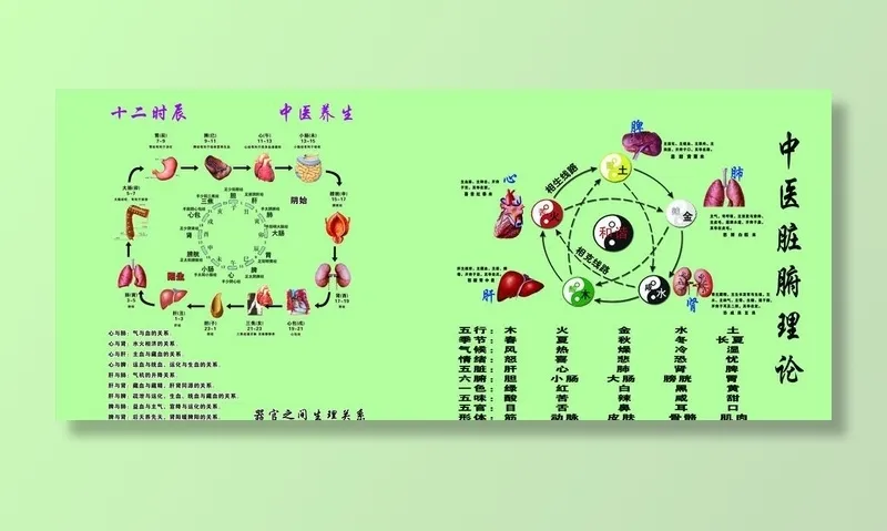 中医养生图片(6803x3118)psd模版下载