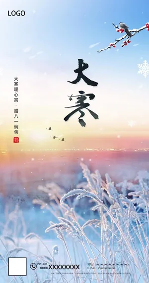 大寒节气海报图片