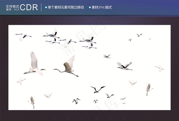 飞鸟群图片cdr矢量模版下载