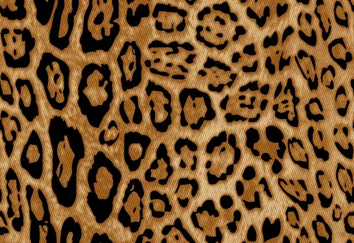 豹纹图片(2636x1894)