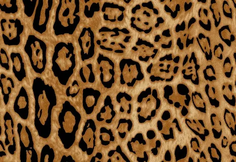 豹纹图片 豹纹图片