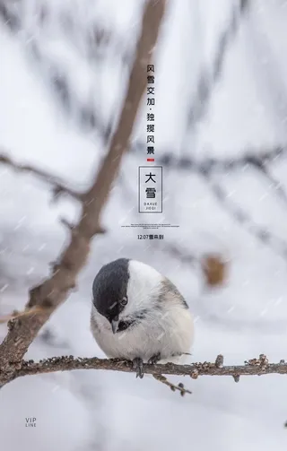 大雪海报图片