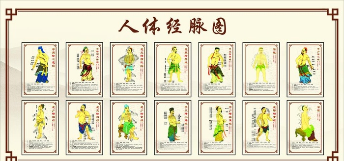 经络 经脉图图片
