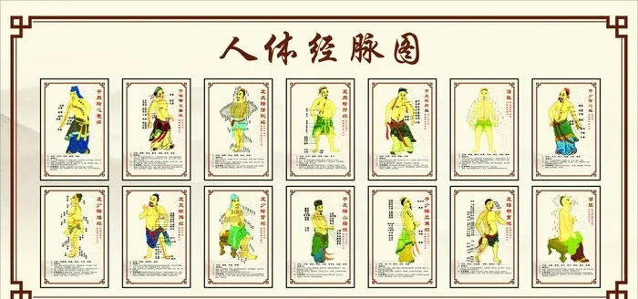 经络 经脉图图片