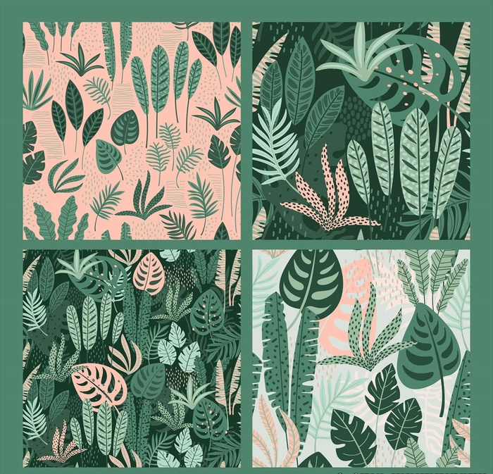 热带叶子背景图片