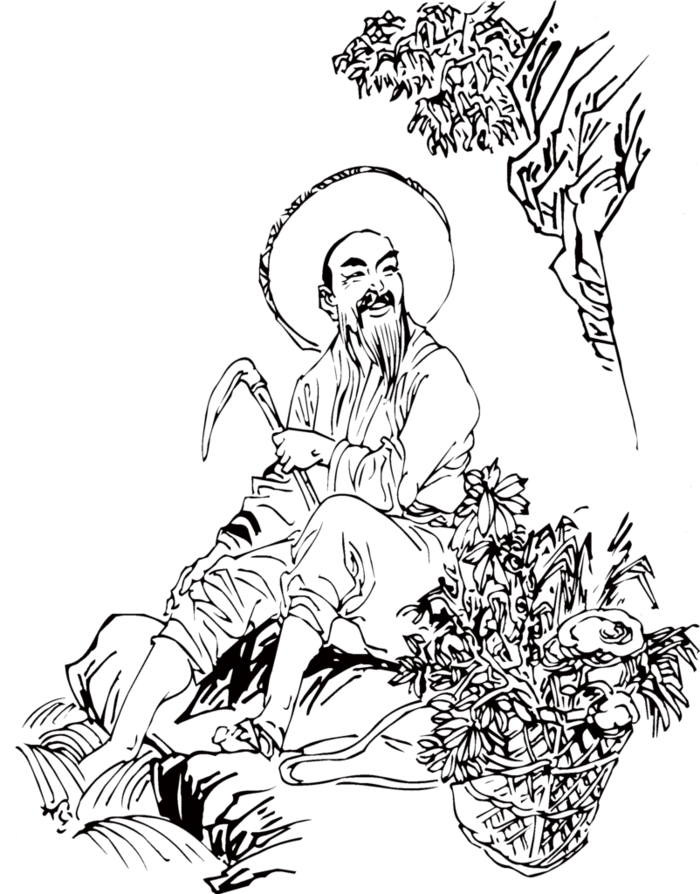中医文化 人物图片(2153x2750)