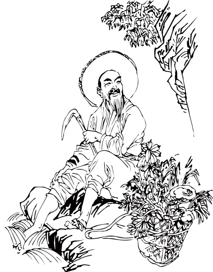 中医文化 人物图片(2153x2750)