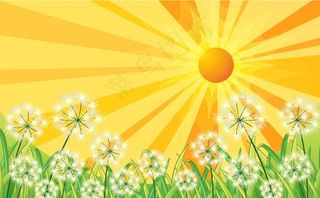 花朵背景 植物        图片