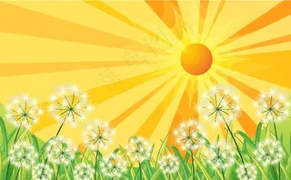 花朵背景 植物        图片