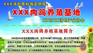肉鸽养殖基地介绍展板图片