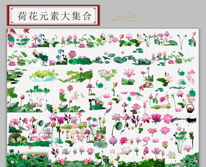 荷花素材大集合图片