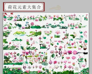 荷花素材大集合图片