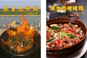 啫啫鸡图片