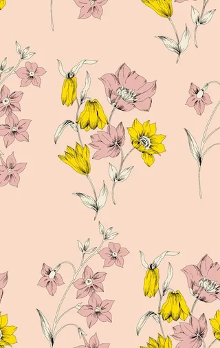 大牌 小碎花图片