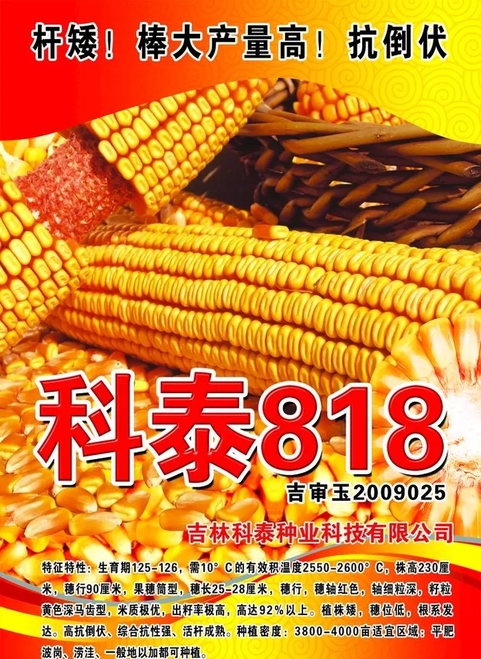 玉米图片(1664x2353)psd模版下载