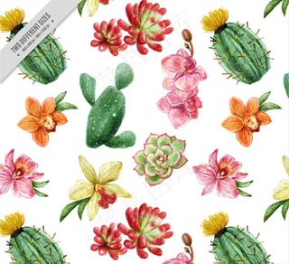 水彩仙人掌多肉植物图片