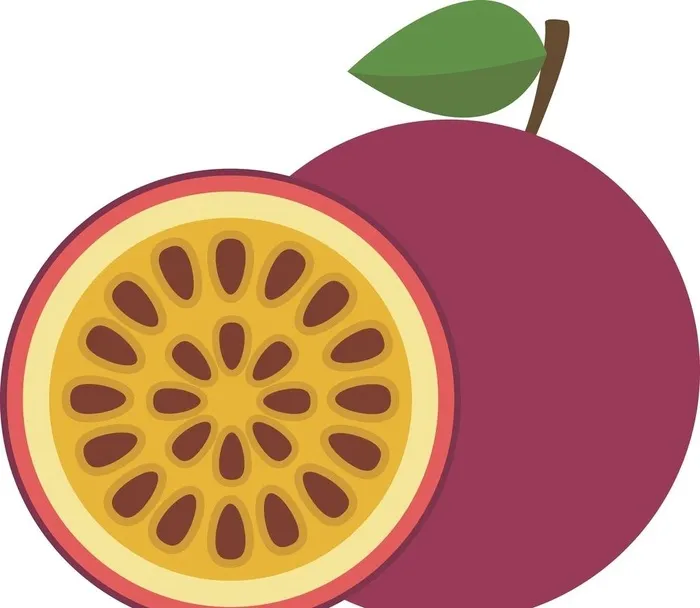 矢量图百香果图片cdr矢量模版下载