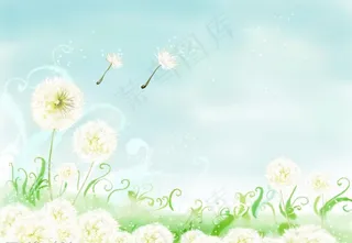 2009摄影模板图片