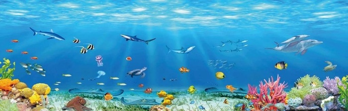 海底世界卡通图片