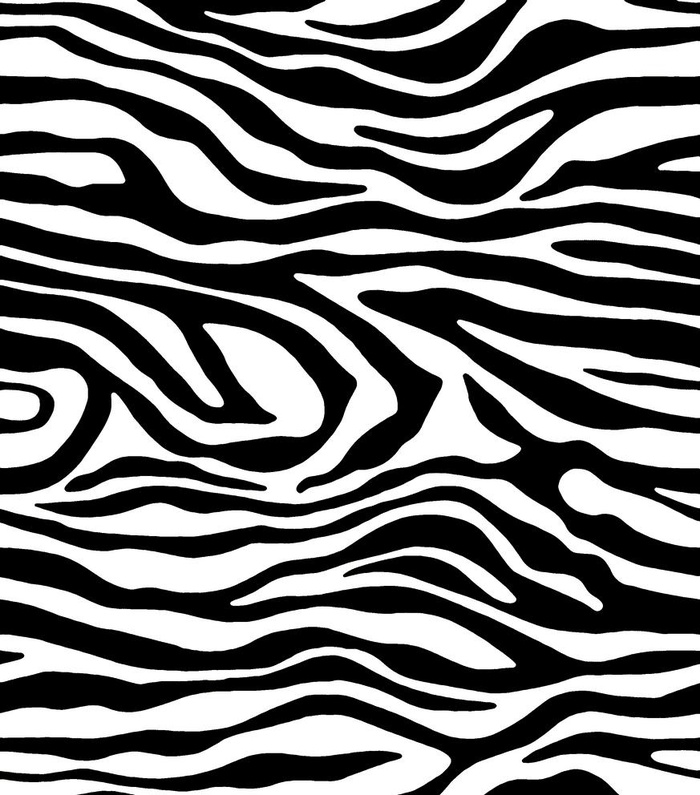 斑马纹图片