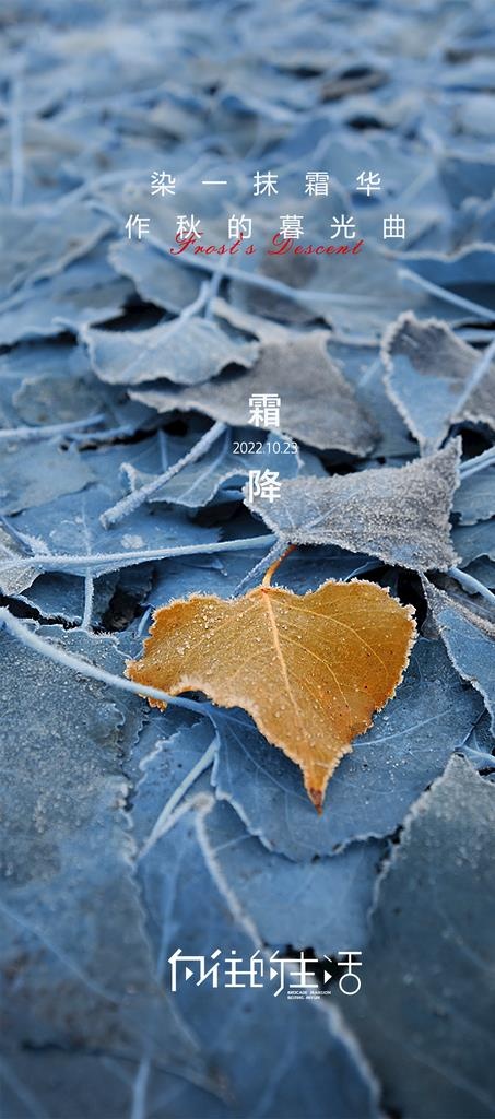 霜降图片(1063x2244)psd模版下载