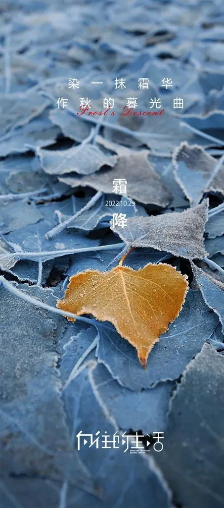 霜降图片(1063x2244)psd模版下载