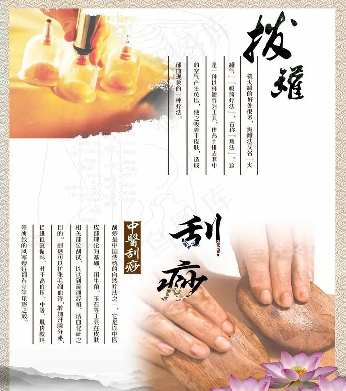 拔罐刮痧图片psd模版下载