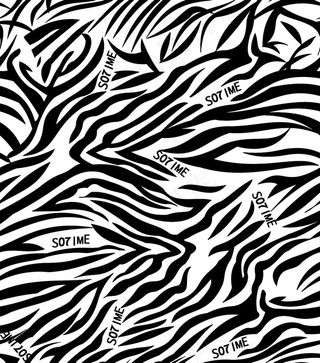 大牌斑马纹图片