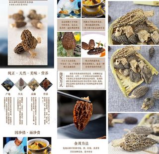 秦岭羊肚菌产品详情页图片