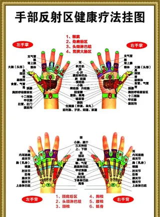 手部反射区健康疗法挂图图片