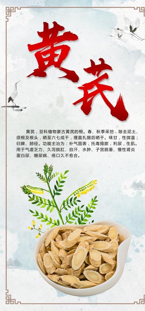 黄芪图片(3543x7087)psd模版下载