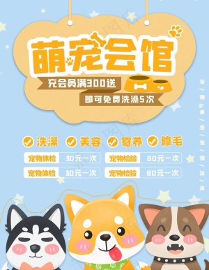 宠物图片