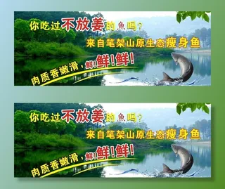 原生态瘦身鱼图片