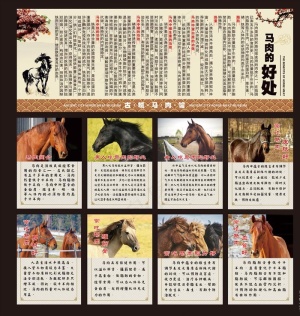 马肉馆挂画组图片