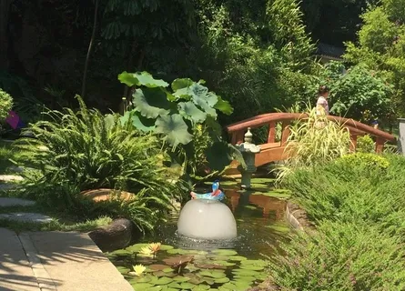 小桥流水人家图片