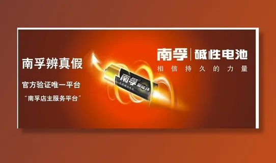 南孚电池图片