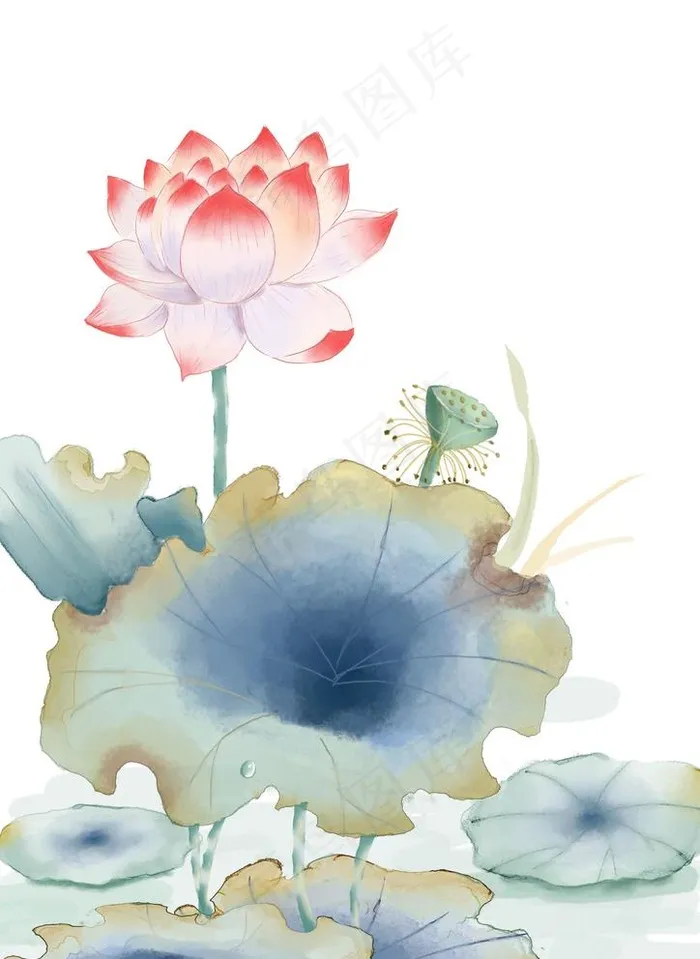 荷花水彩素材插画分层图片