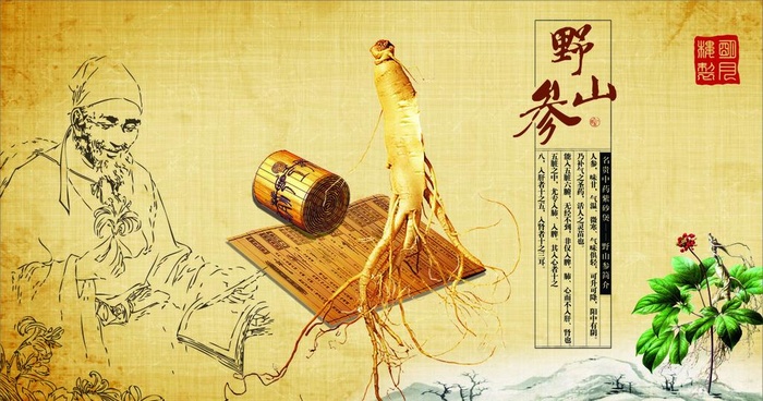 灯箱 人参 野山参图片cdr矢量模版下载