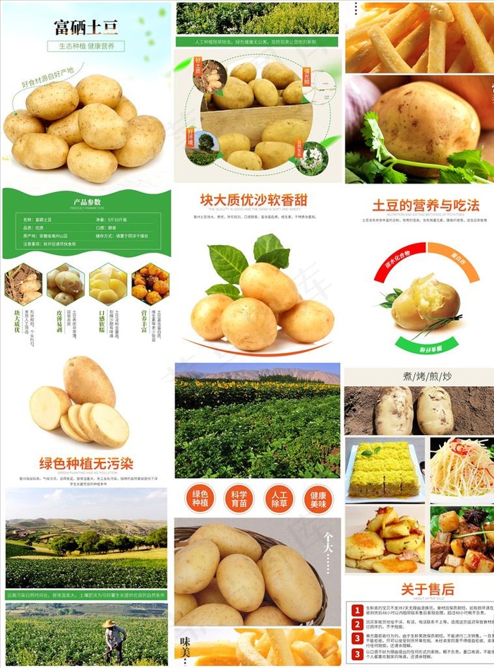 淘宝秋冬进补食品食材土豆马铃薯图片(750x8850)psd模版下载
