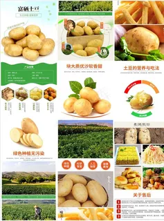 淘宝秋冬进补食品食材土豆马铃薯图片