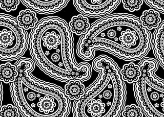 佩斯利花纹图片