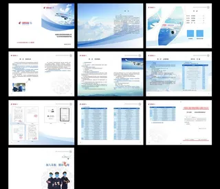 飞行员调查手册图片