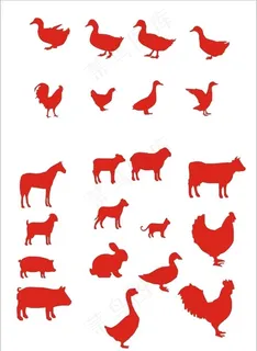 家禽图片 家禽图片