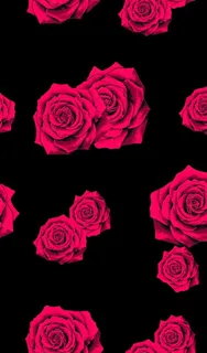 手绘玫瑰花图片