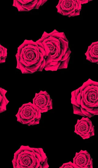 手绘玫瑰花图片