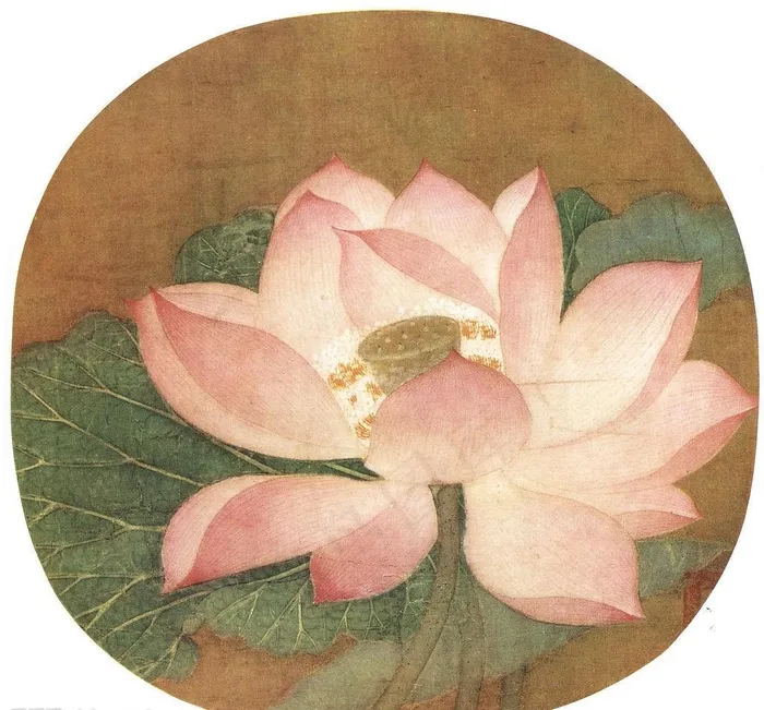 南宋 吴炳 出水芙蓉图片