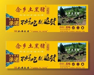 念乡黑猪 土猪 图片