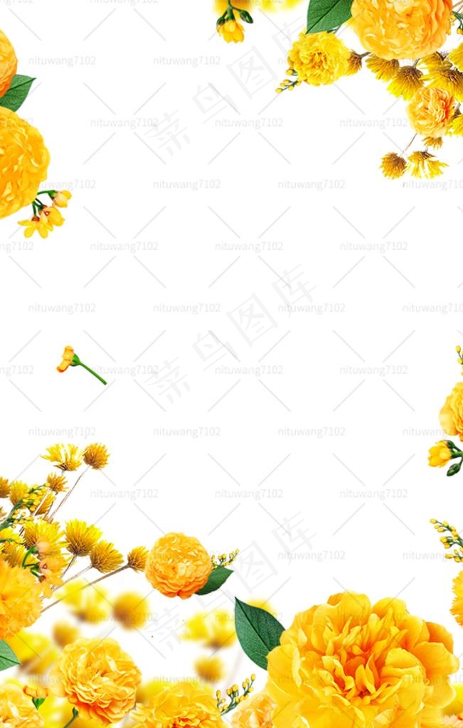 菊花边框图片psd模版下载