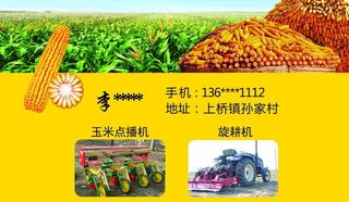 玉米 名片图片