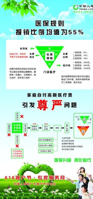 中国人寿保险图片